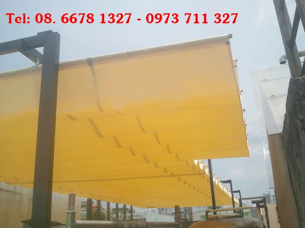 Mai che nắng bền bỉ