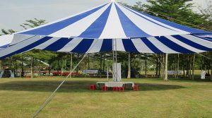 Đặc điểm cấu tạo của ô dù sự kiện