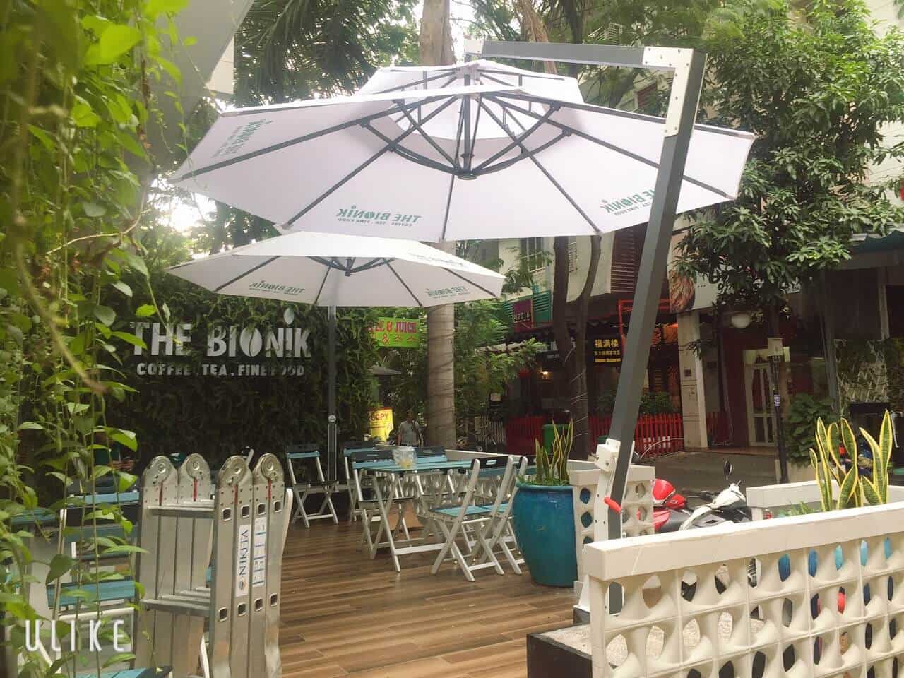 Mẫu dù 1